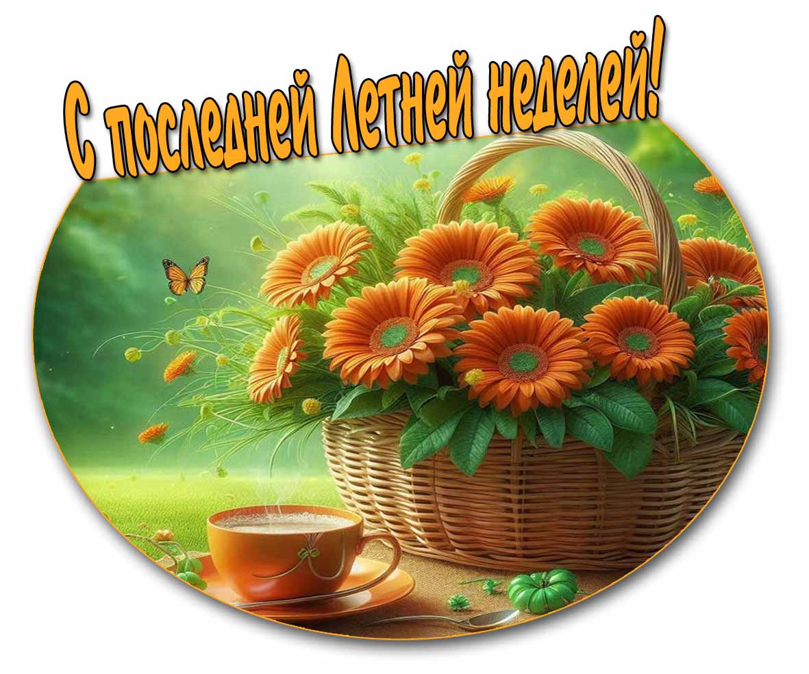 С последней Летней неделей! - картинка с герберами