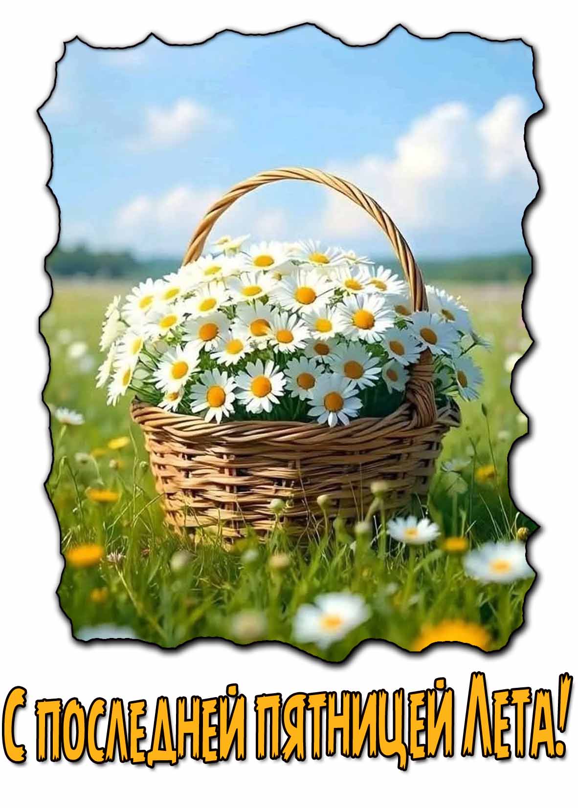 С последней пятницей Лета! - открытка с ромашками