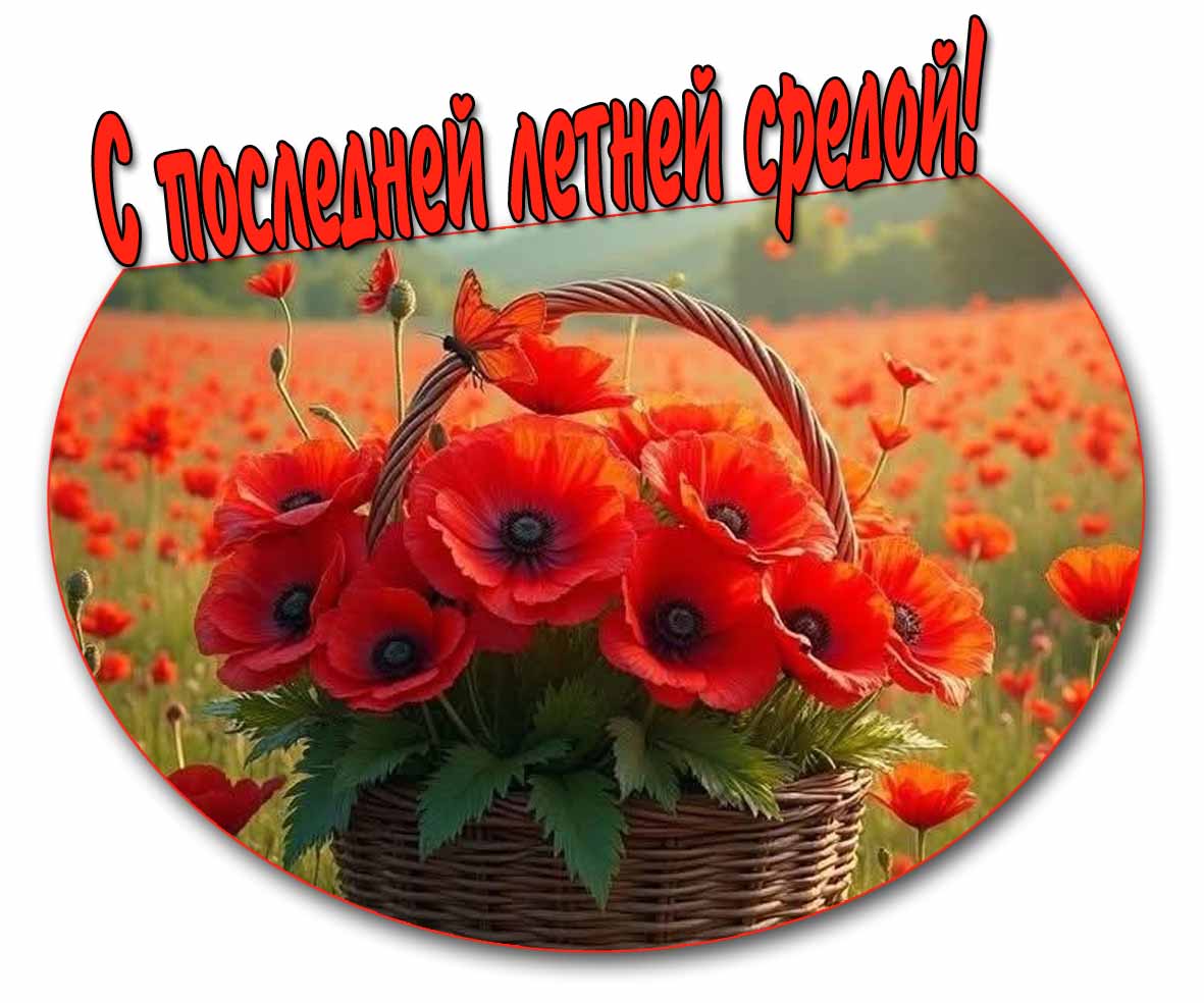 Картинка с последней летней средой