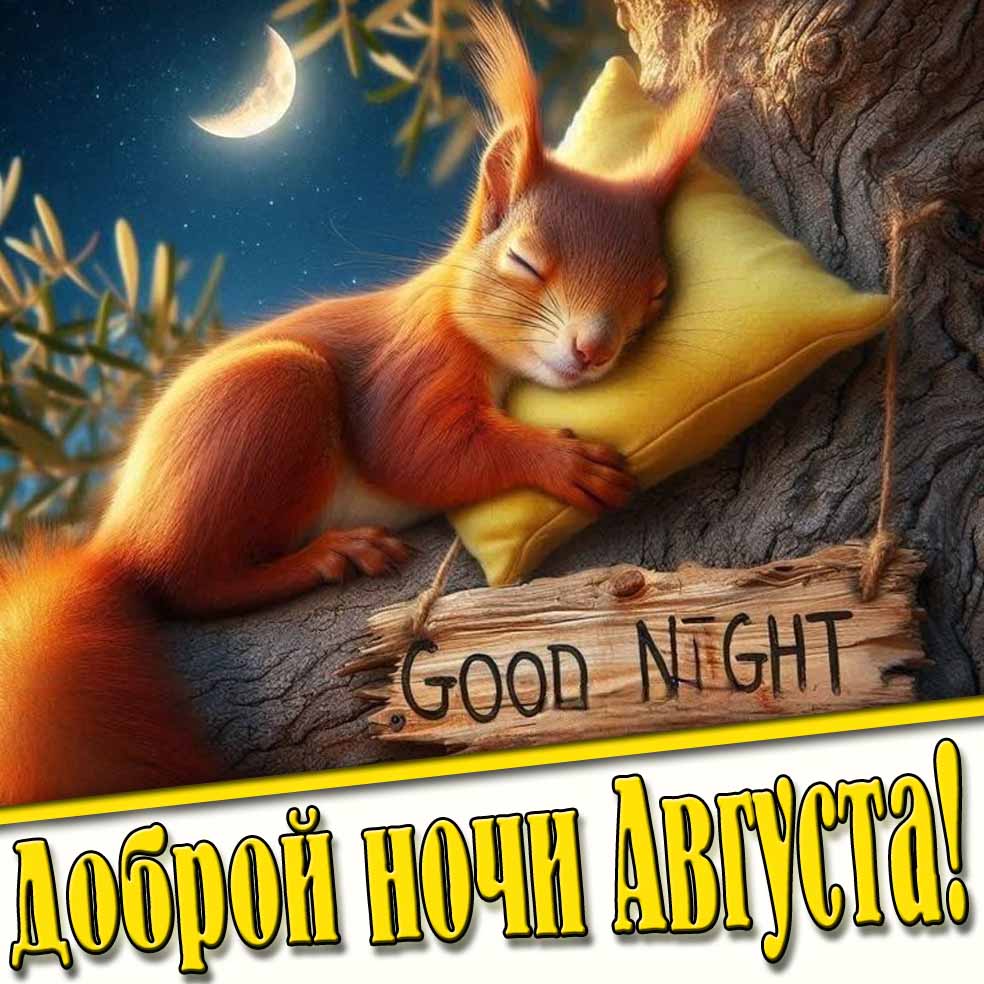 Прикольная картинка "Доброй ночи Августа! Good Night!"