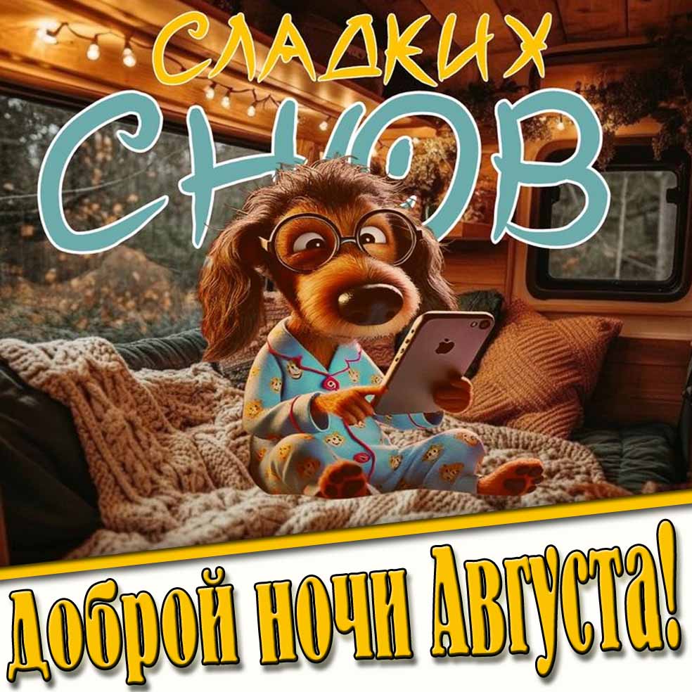 Смешная картинка "Сладких снов! Доброй ночи Августа!"