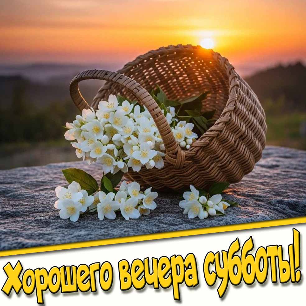 Хорошего вечера субботы! - картинка с летними цветами