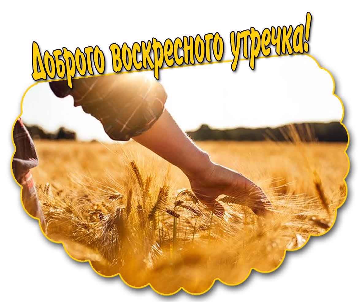 Доброго воскресного утречка! - солнечная открытка