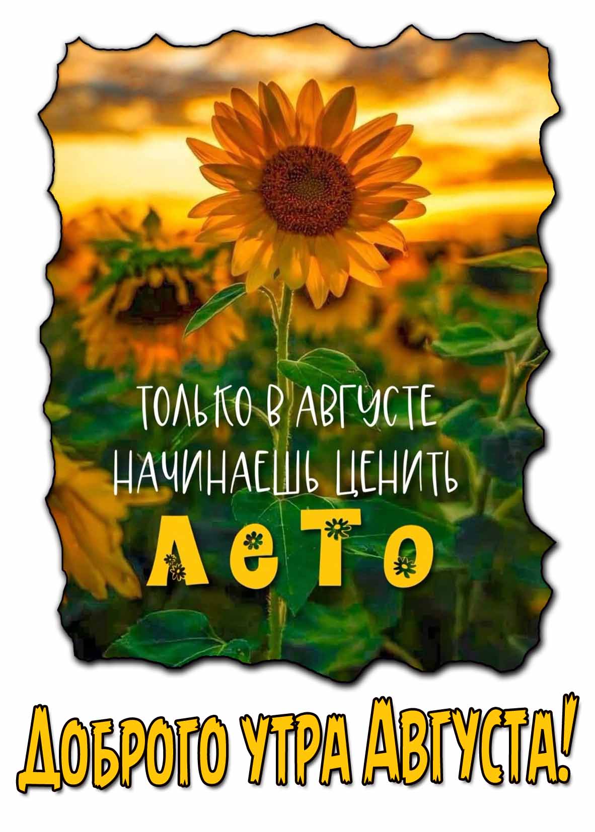 Открытка доброго утра Августа! - с надписью