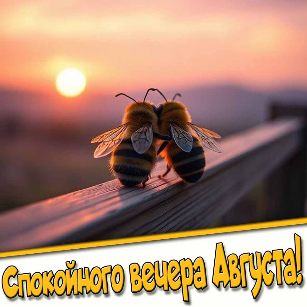 Спокойного вечера Августа! - картинка