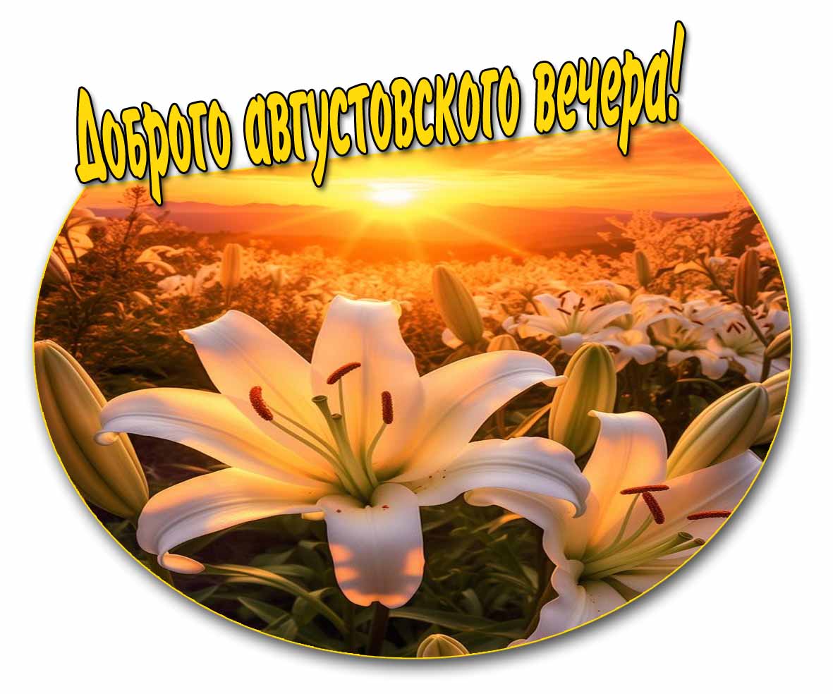 Красивая картинка "Доброго августовского вечера!" - с лилиями