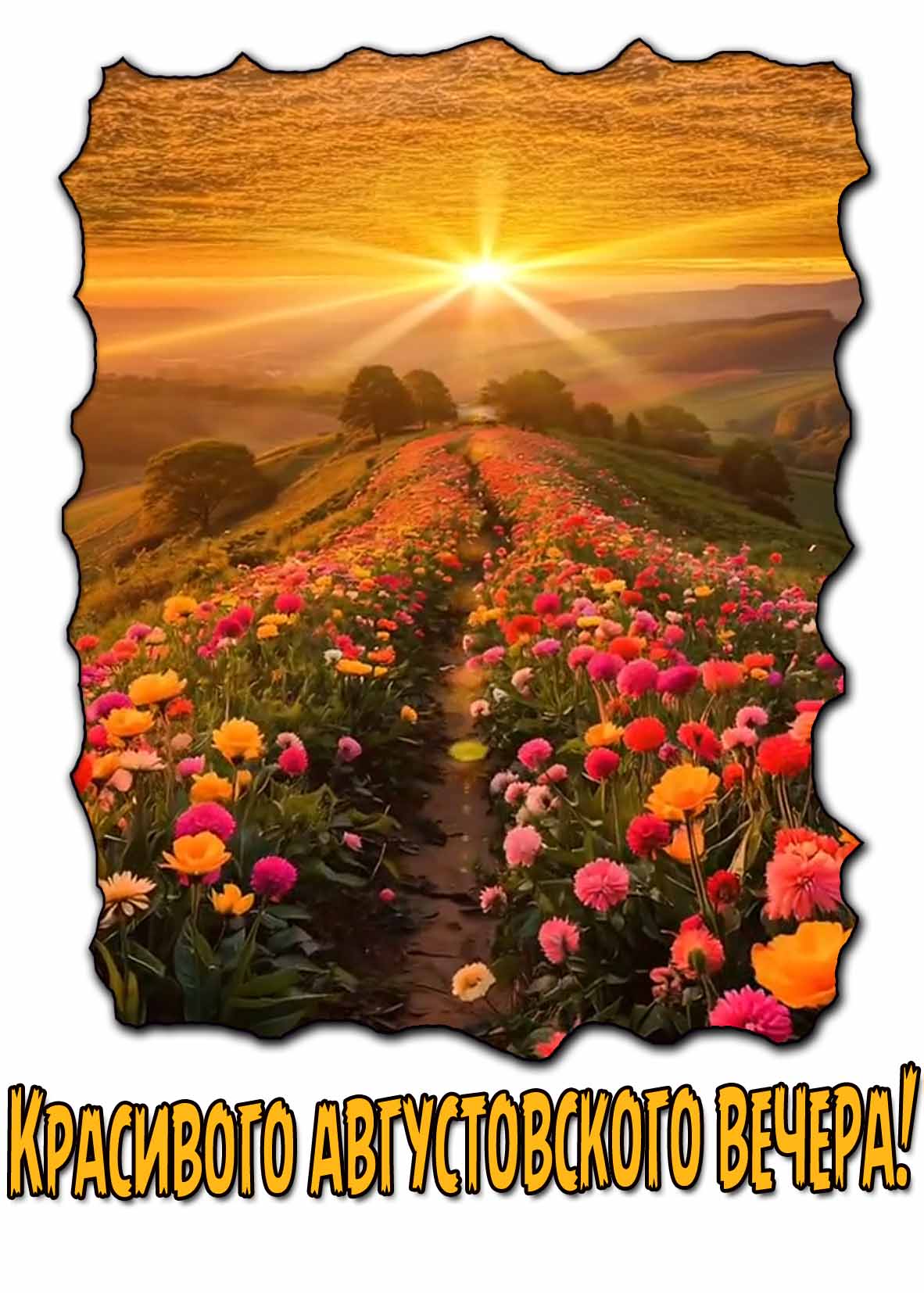 Открытка с пожеланием красивого августовского вечера