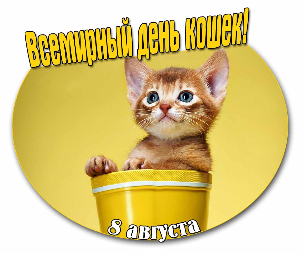 Открытка 8 августа Всемирный день кошек