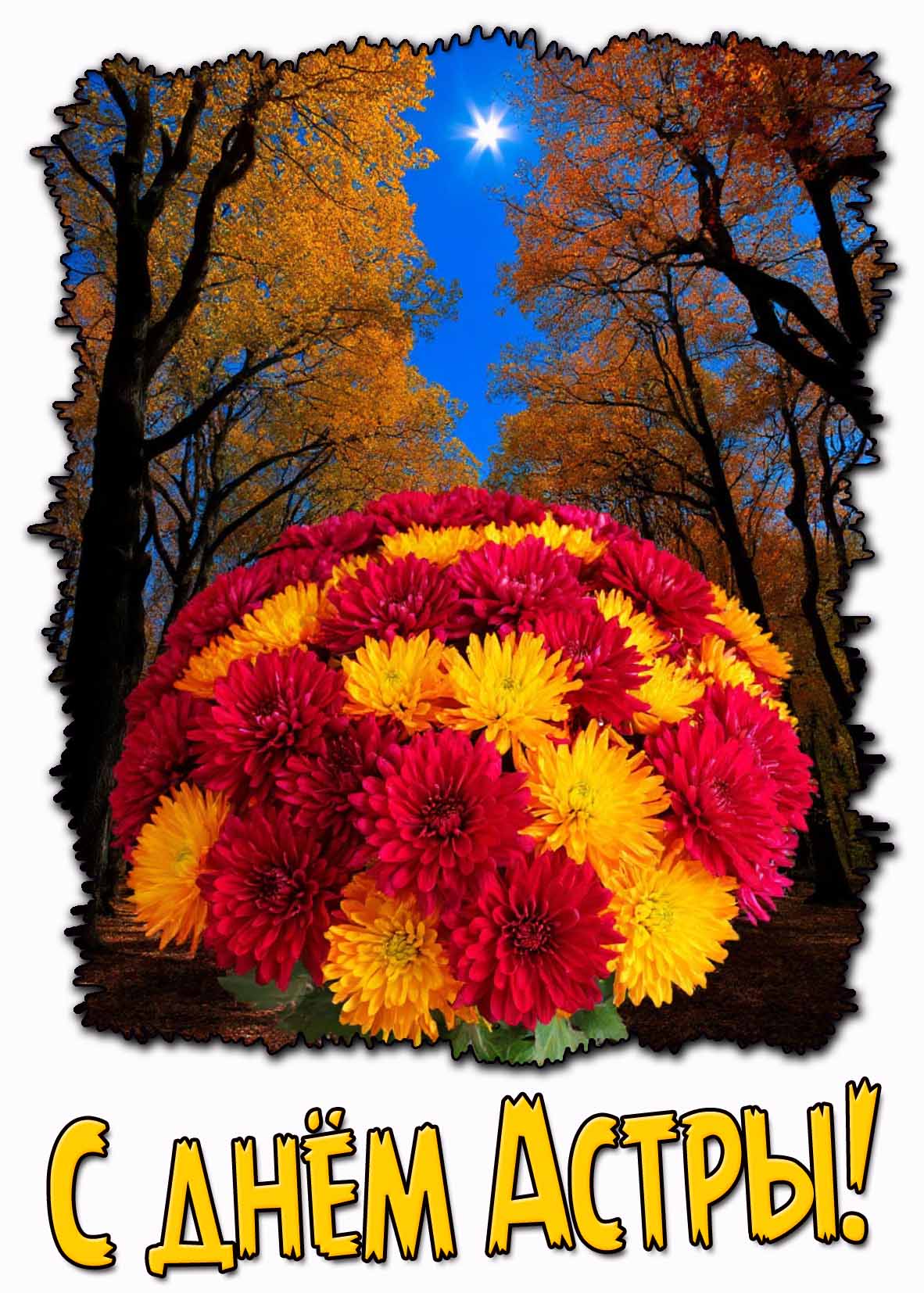 Картинка на день Астры!