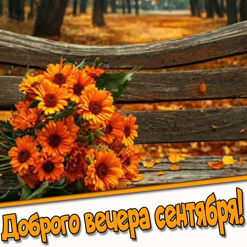 Доброго вечера сентября! - картинка с осенними цветами