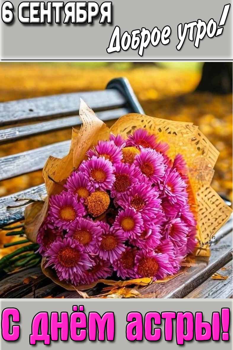 Картинка "6 сентября доброе утро! С днём астры!"