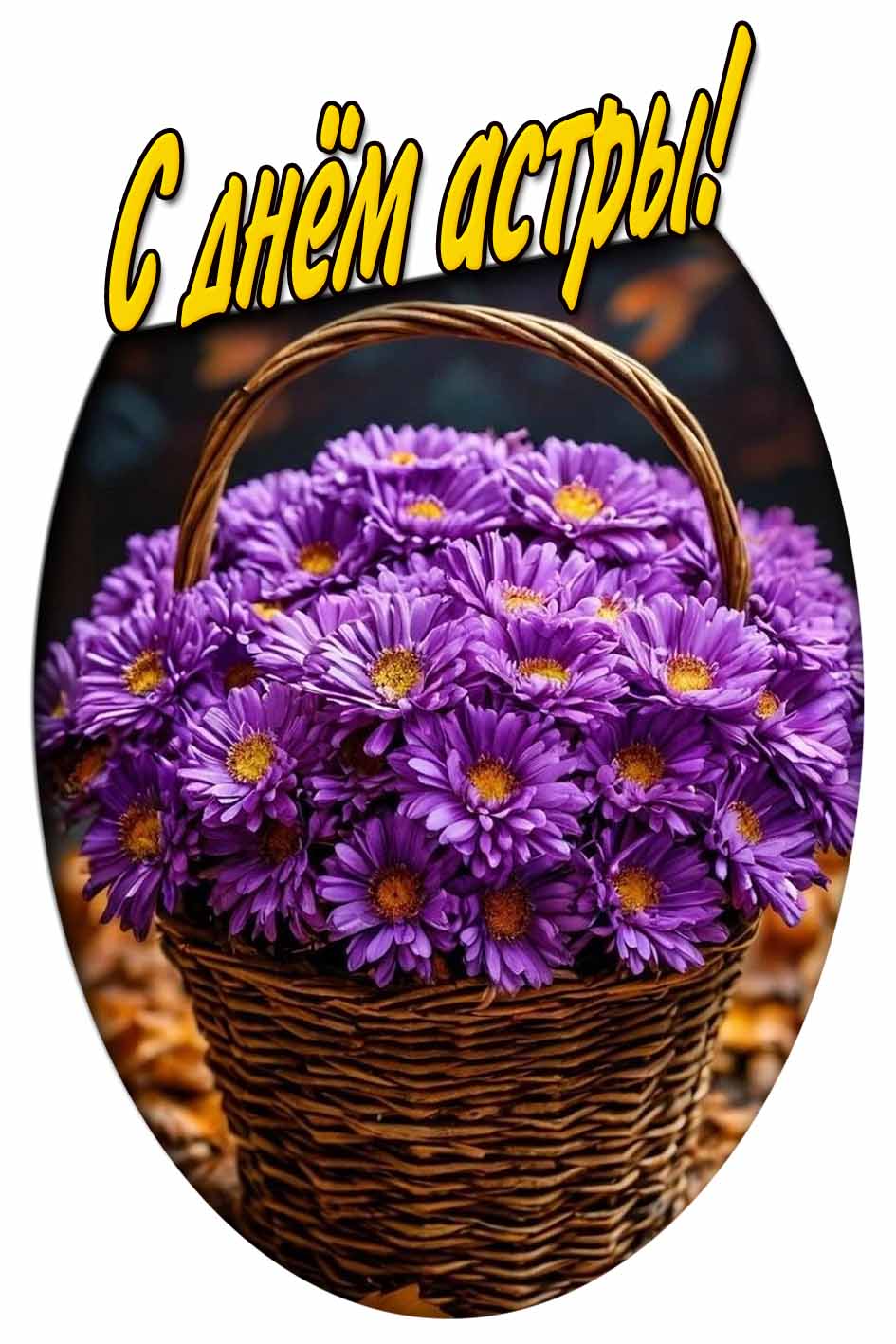 Картинка с днём астры