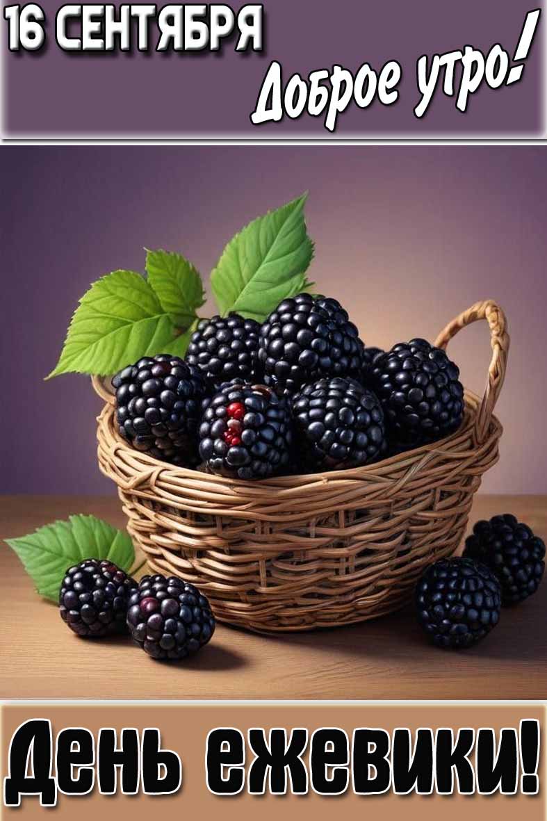 Картинка "16 сентября доброе утро! С днём ежевики!"