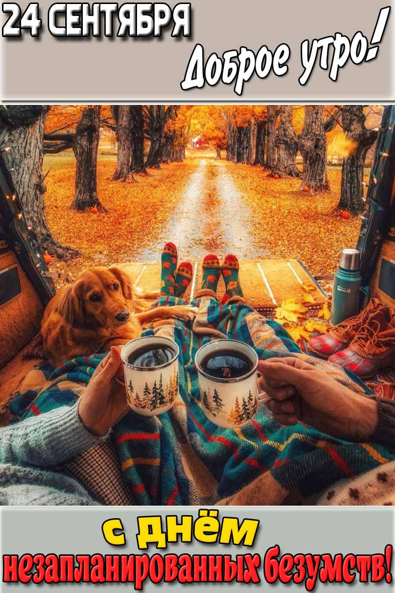Осенняя картинка "24 сентября доброе утро! С днём незапланированных безумств!"