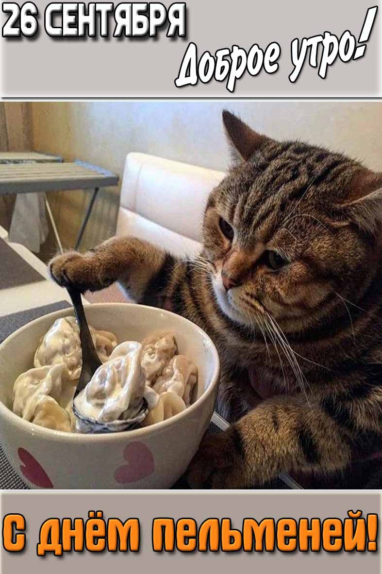 Смешная открытка "26 сентября доброе утро! С днём пельменей!"