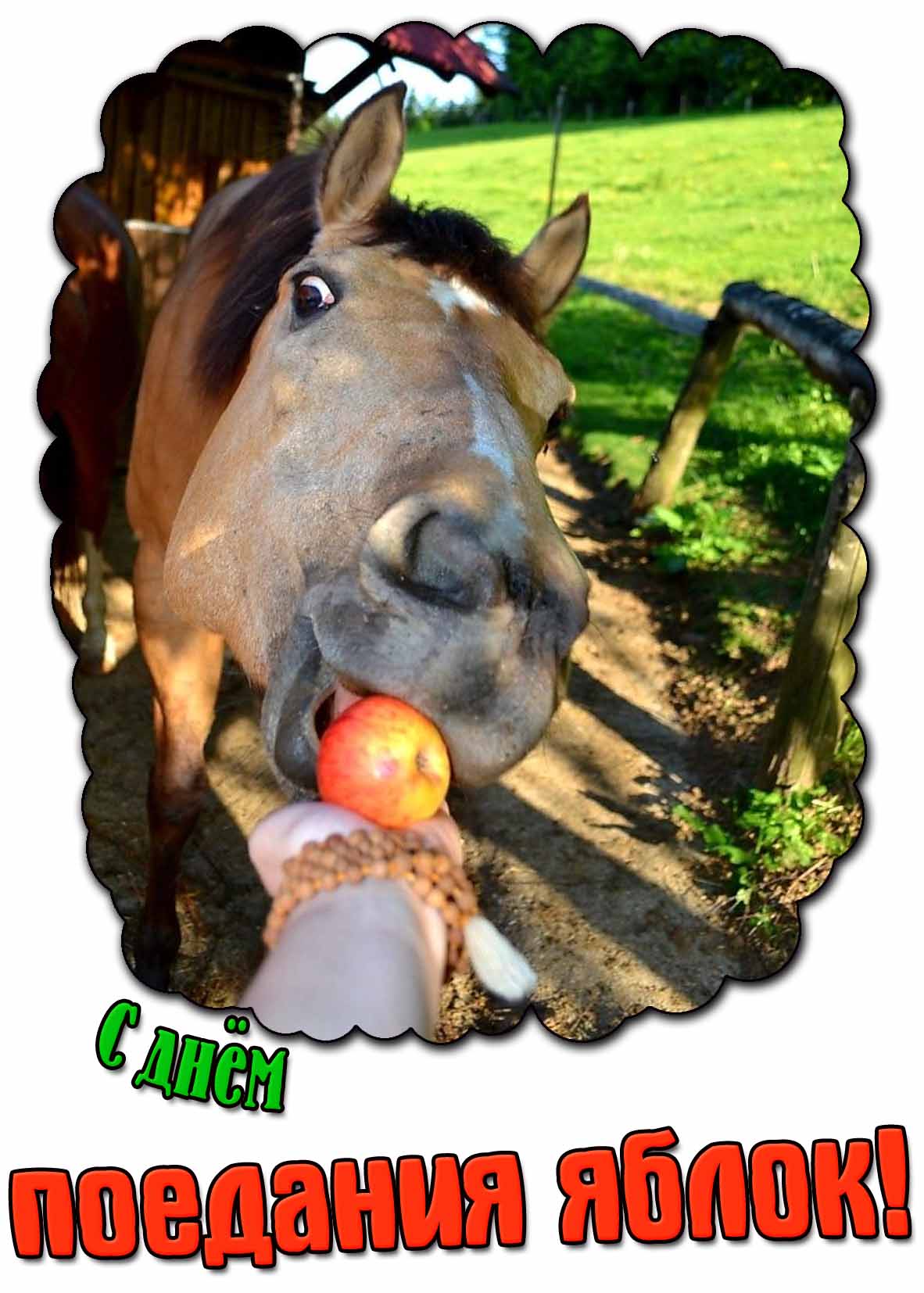 Прикольная открытка с днём поедания яблок