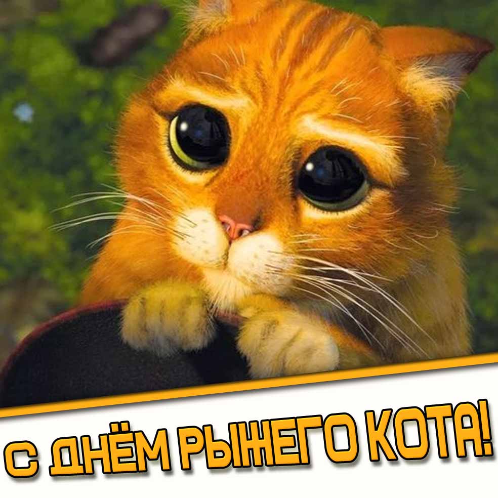 С днём рыжего кота! - открытка из мультфильма "Шрек"