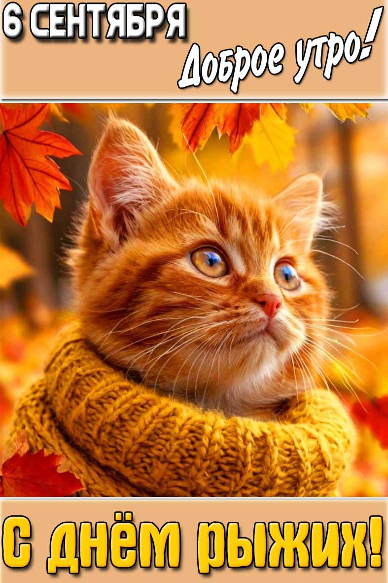 Осеняя картинка "6 сентября доброе утро! С днём рыжих!"