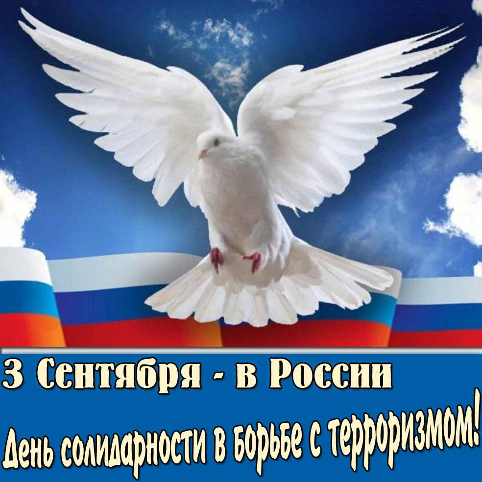 Красивая открытка с голубем мира и флагом на день солидарности в борьбе с терроризмом в России - 3 сентября.