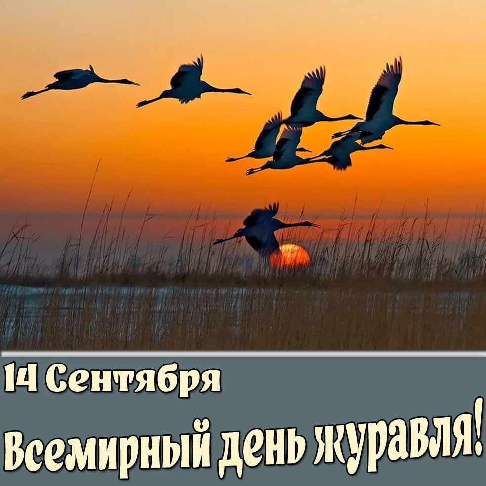 Картинка 14 сентября Всемирный день журавля