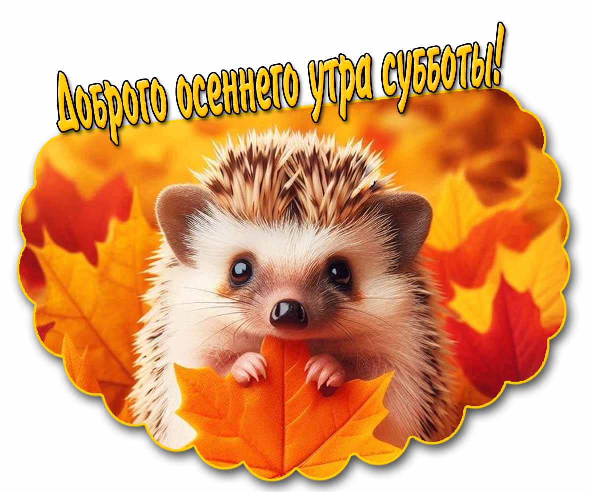Доброго осеннего утра субботы! - открытка с ёжиком