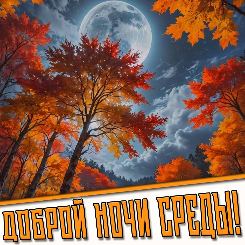 Доброй ночи среды! - осенняя открытка
