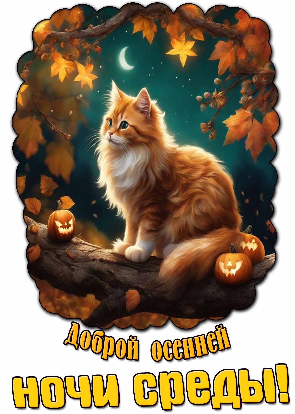 Картинка доброй осенней ночи среды