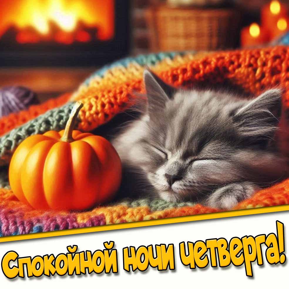 Спокойной ночи четверга! - картинка с котиком