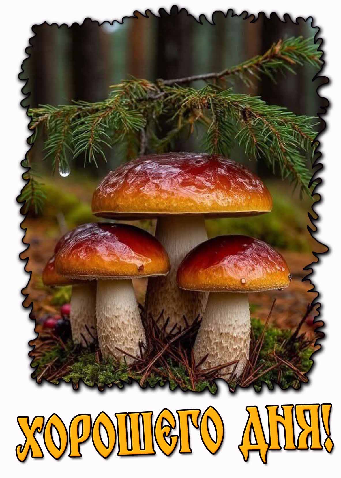 Хорошего дня! - осенняя картинка с грибами