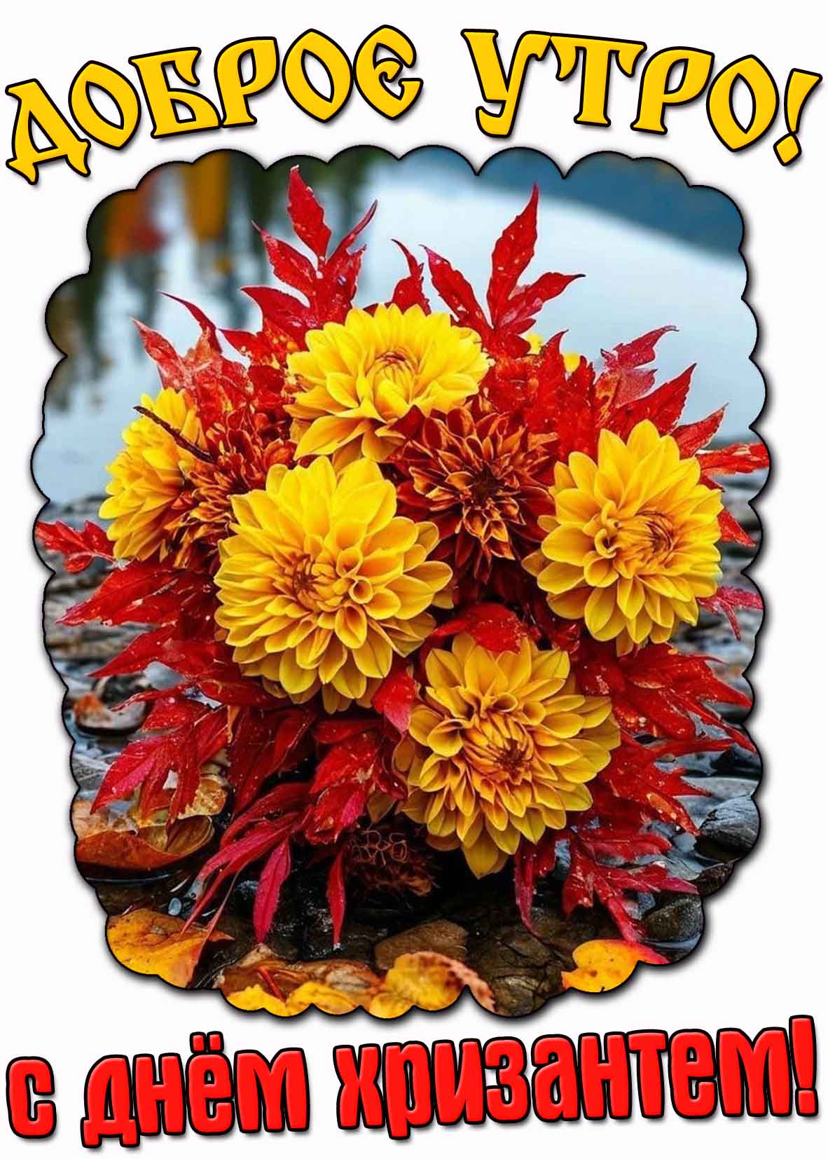 Открытка "Доброе утро! С днём хризантем!"