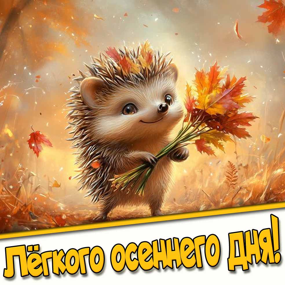 Открытка лёгкого осеннего дня