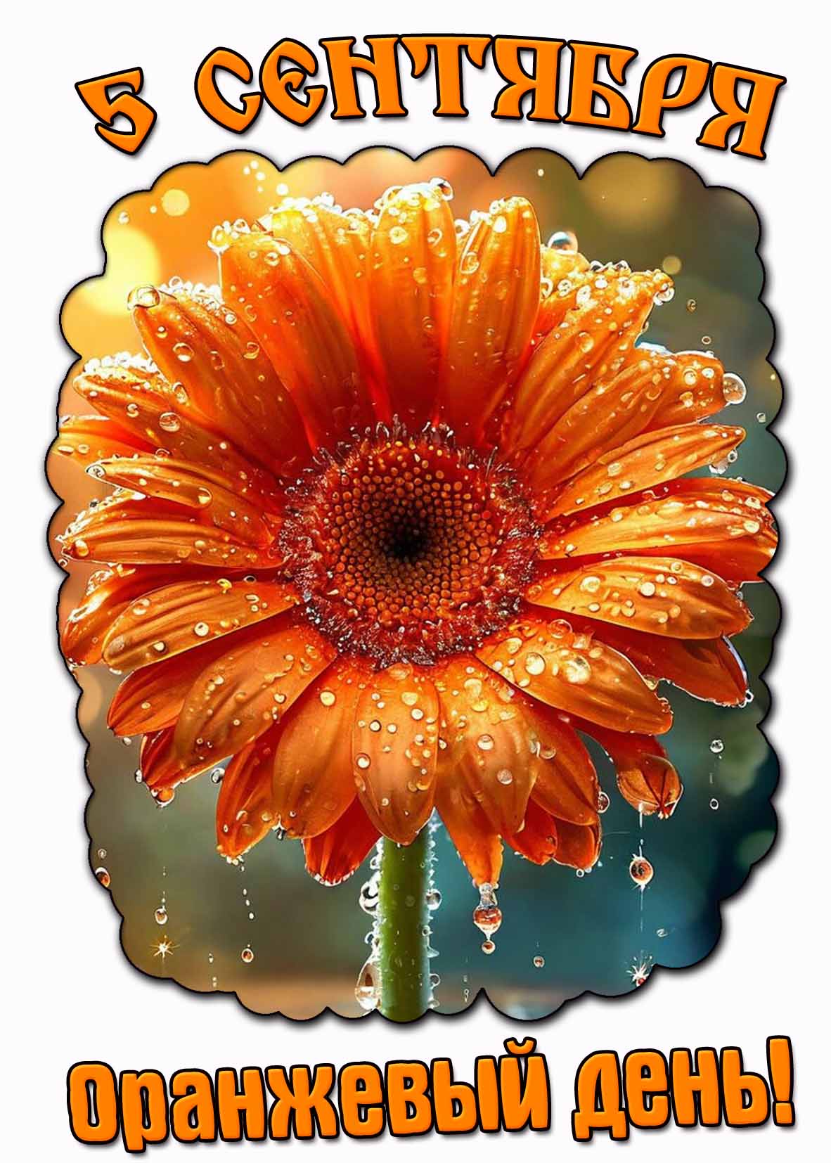 Открытка на оранжевый день - 5 сентября