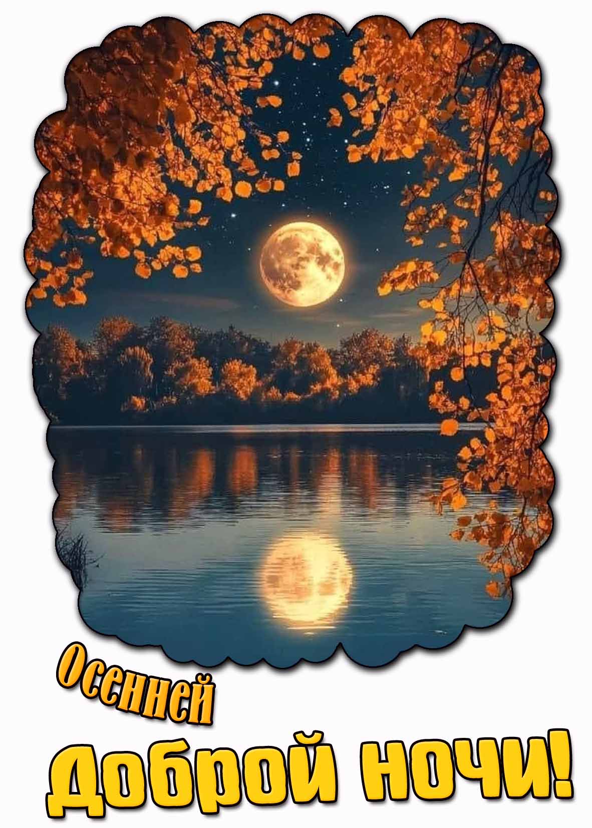 Осенней доброй ночи! - картинка