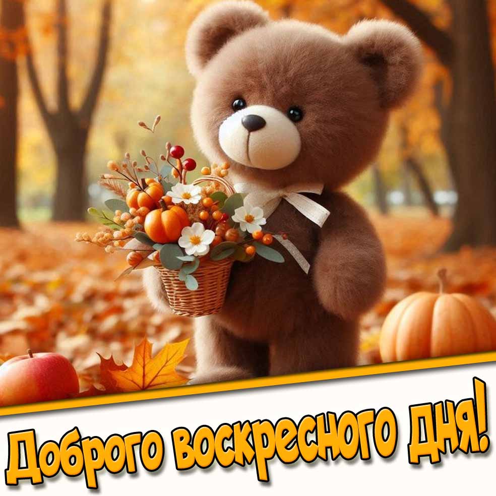 Доброго воскресного дня! - прикольная осенняя открытка