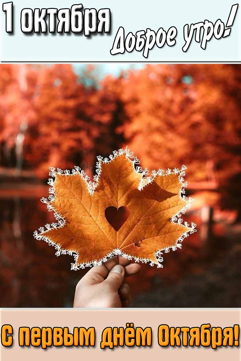 Открытка "1 октября доброе утро! С первым днём октября!"