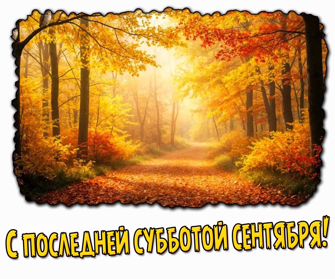 С последней субботой сентября! - солнечная осенняя картинка