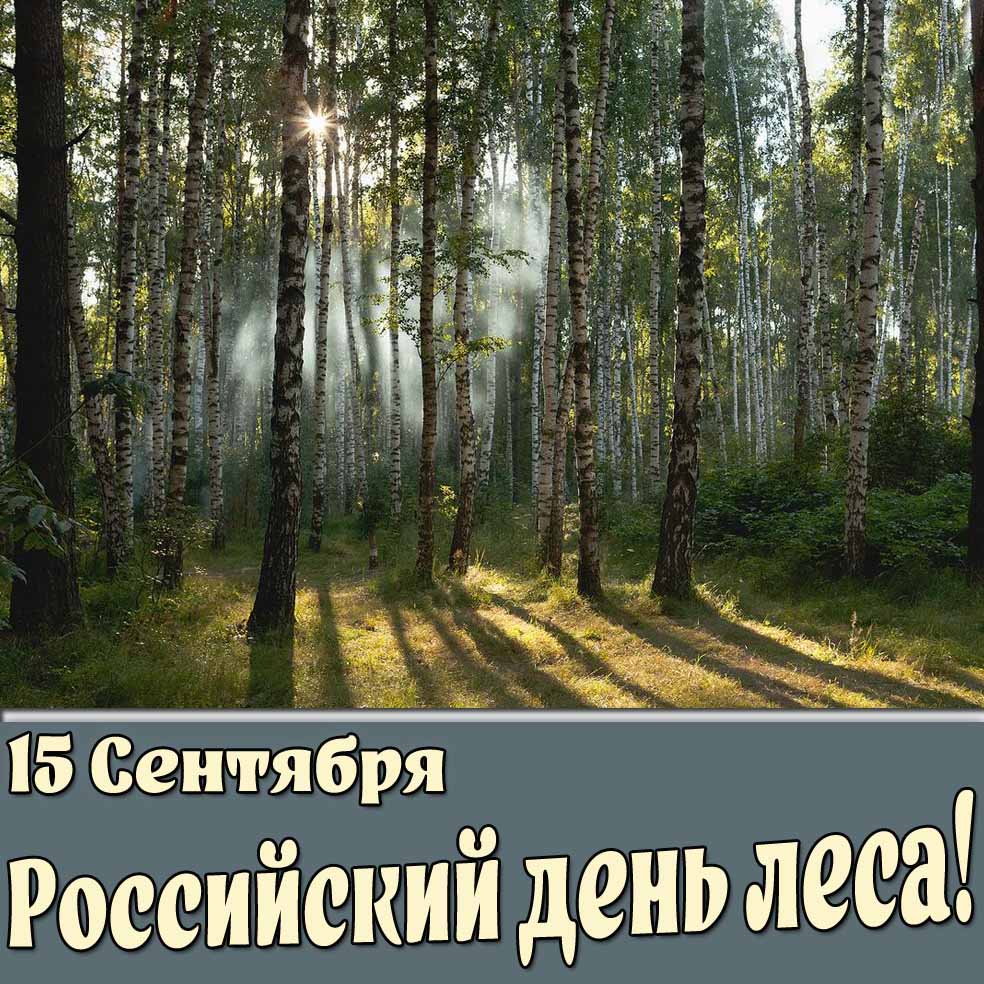 Картинка 15 сентября Российский день леса