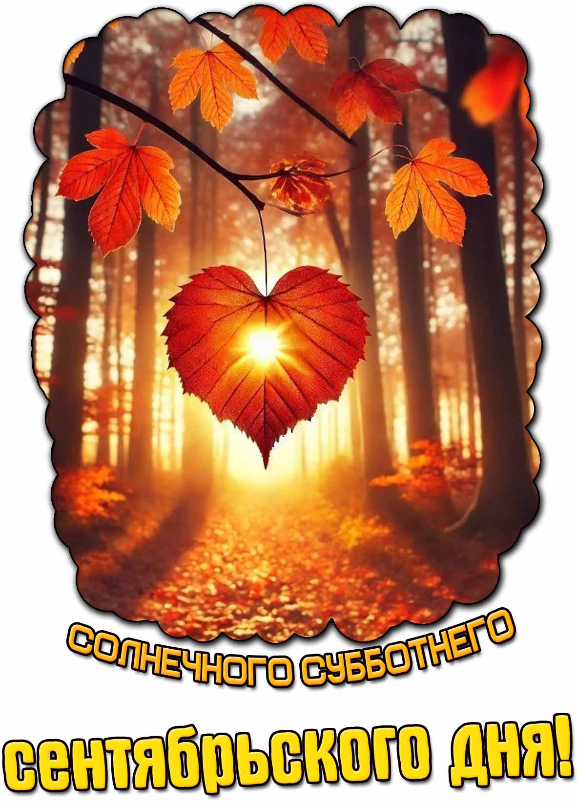 Картинка солнечного субботнего сентябрьского дня