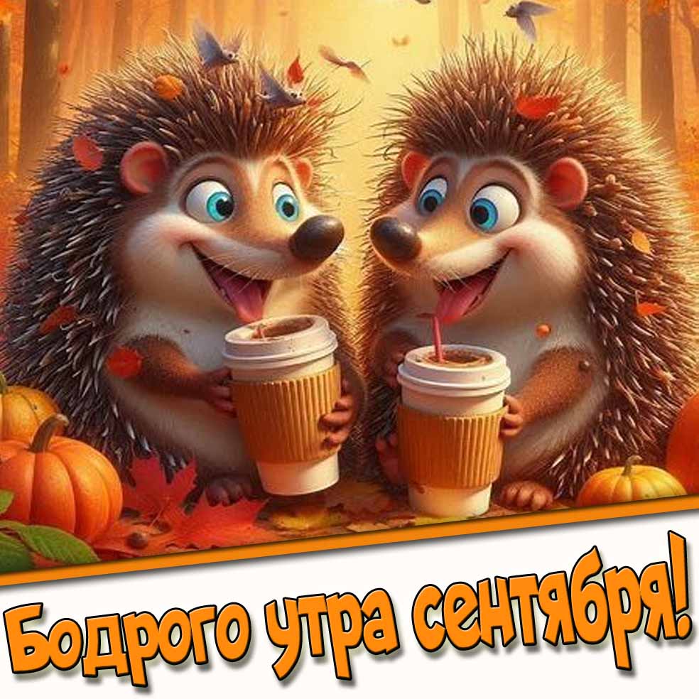 Бодрого утра сентября! - открытка с весёлыми ёжиками