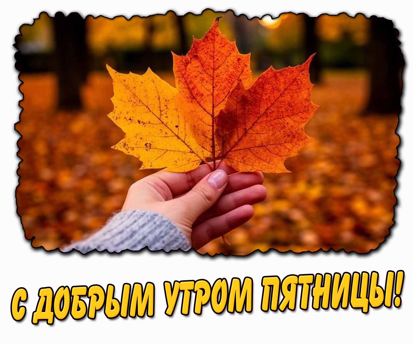 С добрым утром пятницы! - картинка с кленовым листом