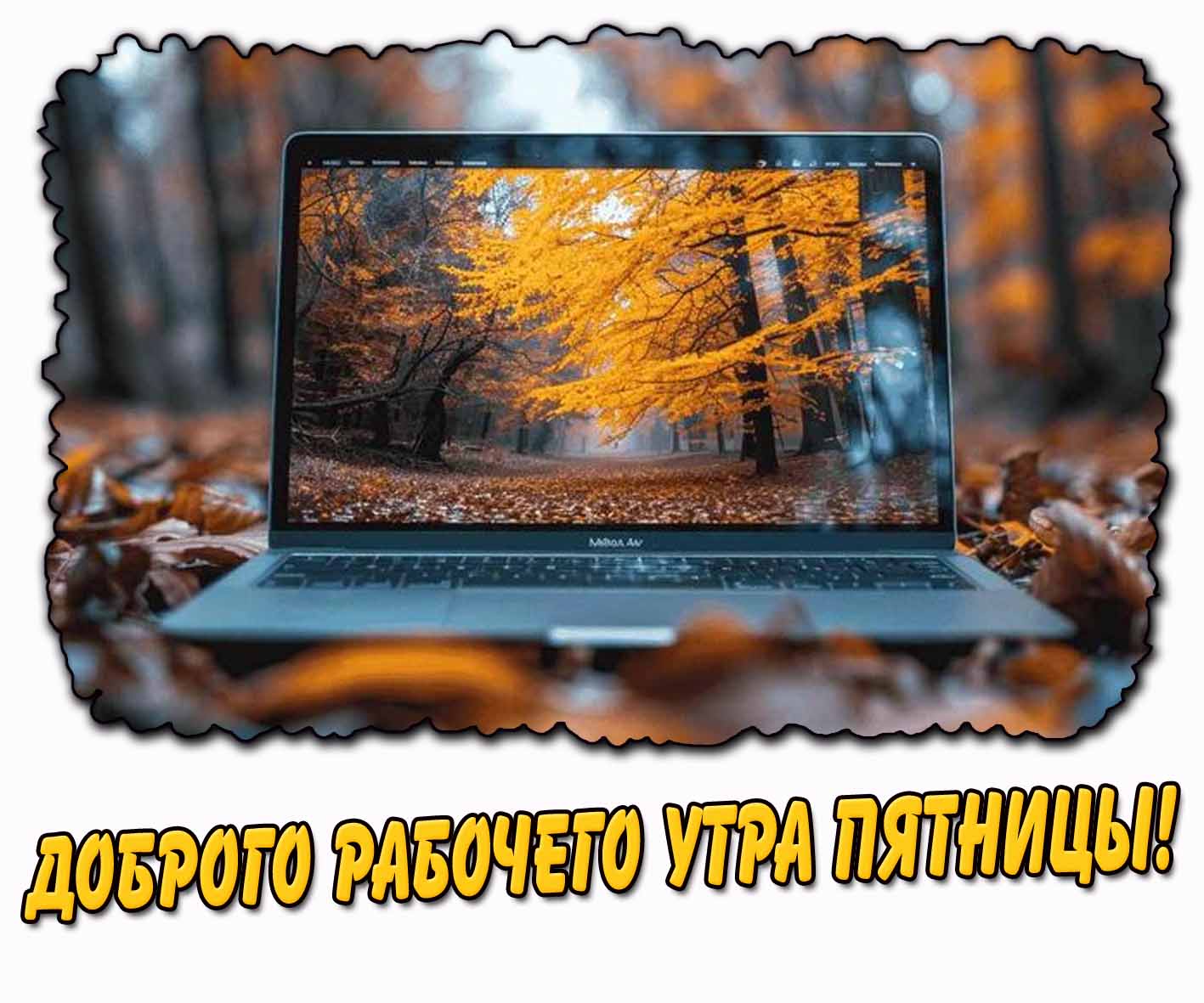 Доброго рабочего утра пятницы! - картинка с ноутбуком в осеннем лесу