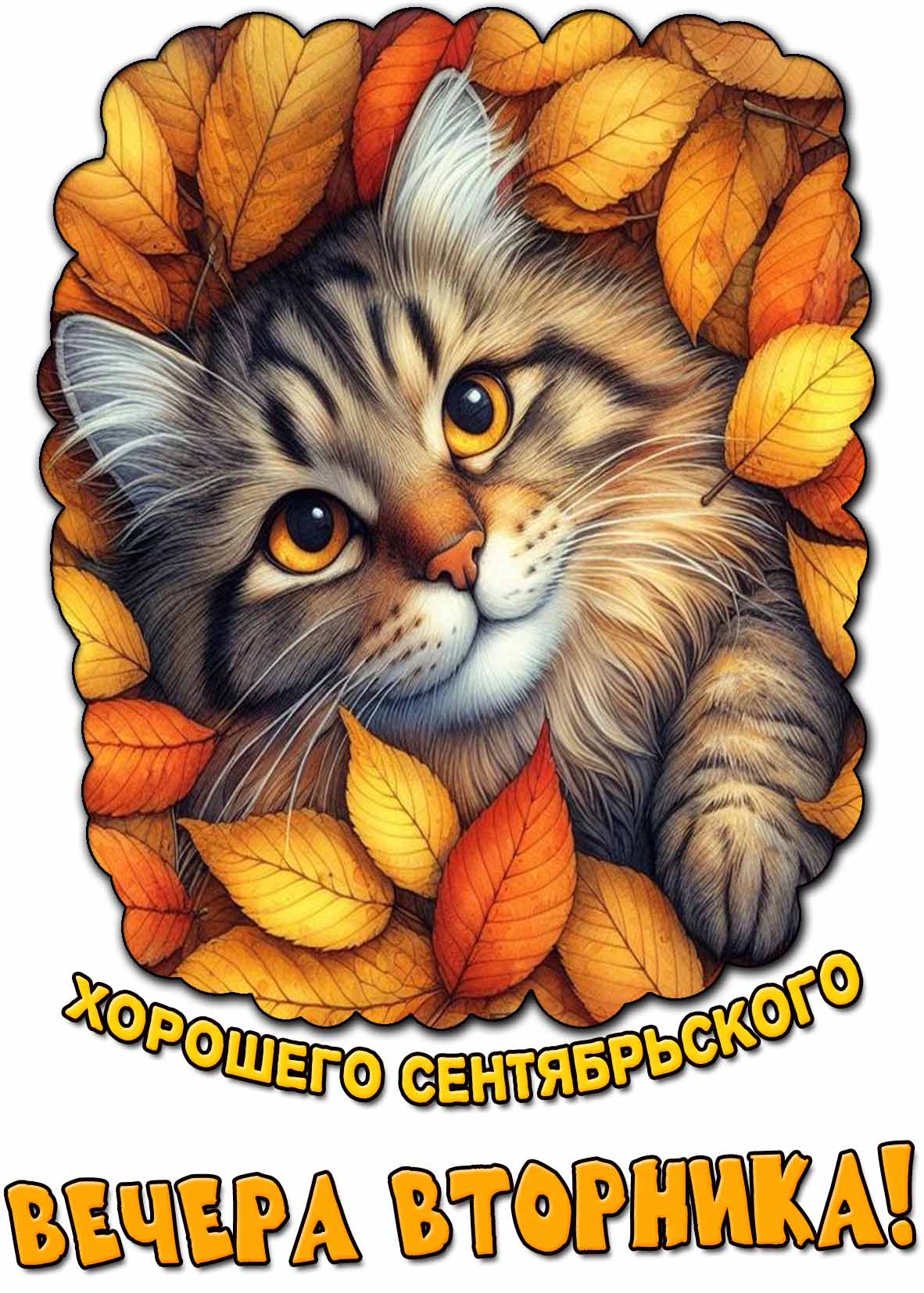 Картинка хорошего сентябрьского вечера вторника