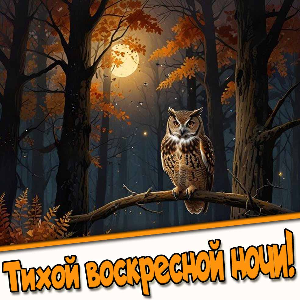 Тихой воскресной ночи! - осенняя картинка с совой