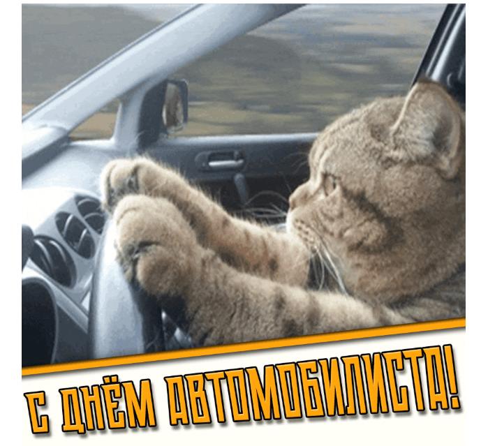 Прикольная гифка с днём автомобилиста