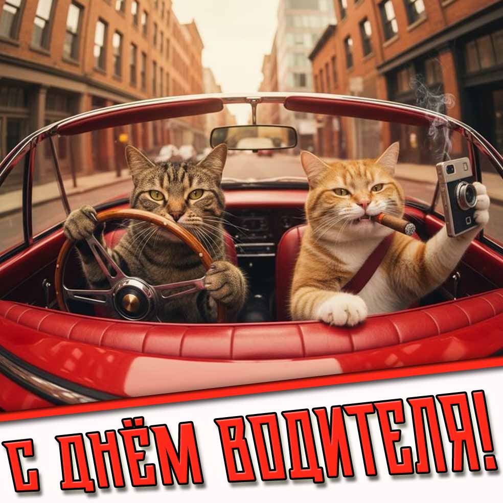 Смешная открытка с днём водителя