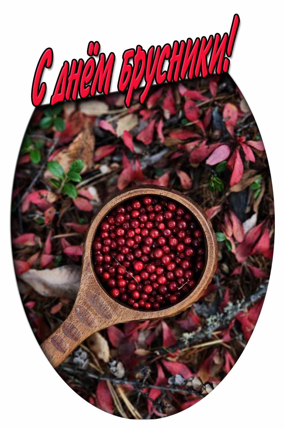 С днём брусники! - осенняя картинка