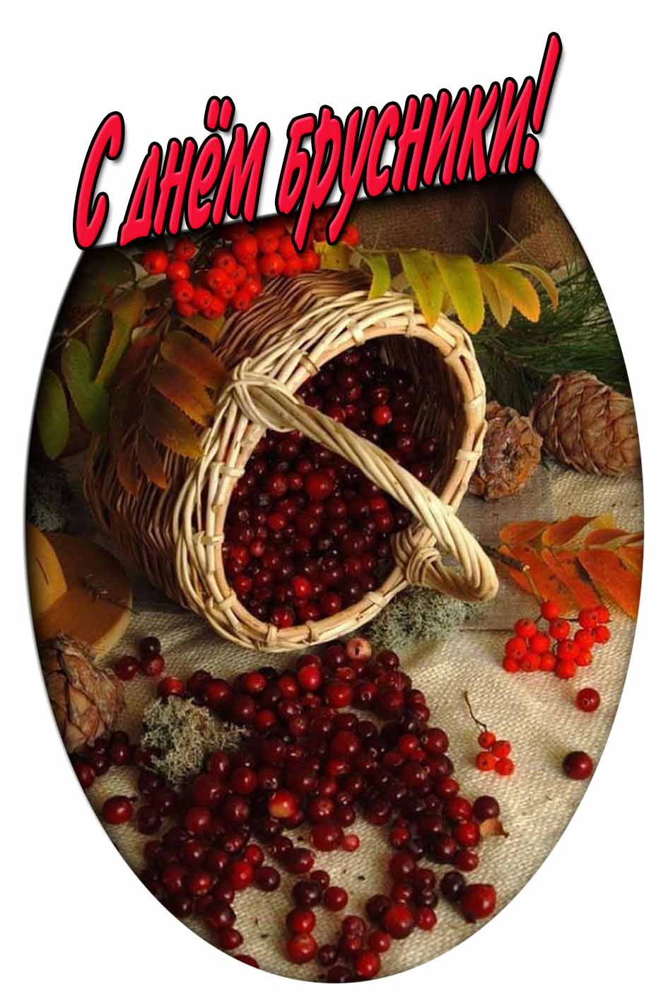 Осенняя картинка с днём брусники