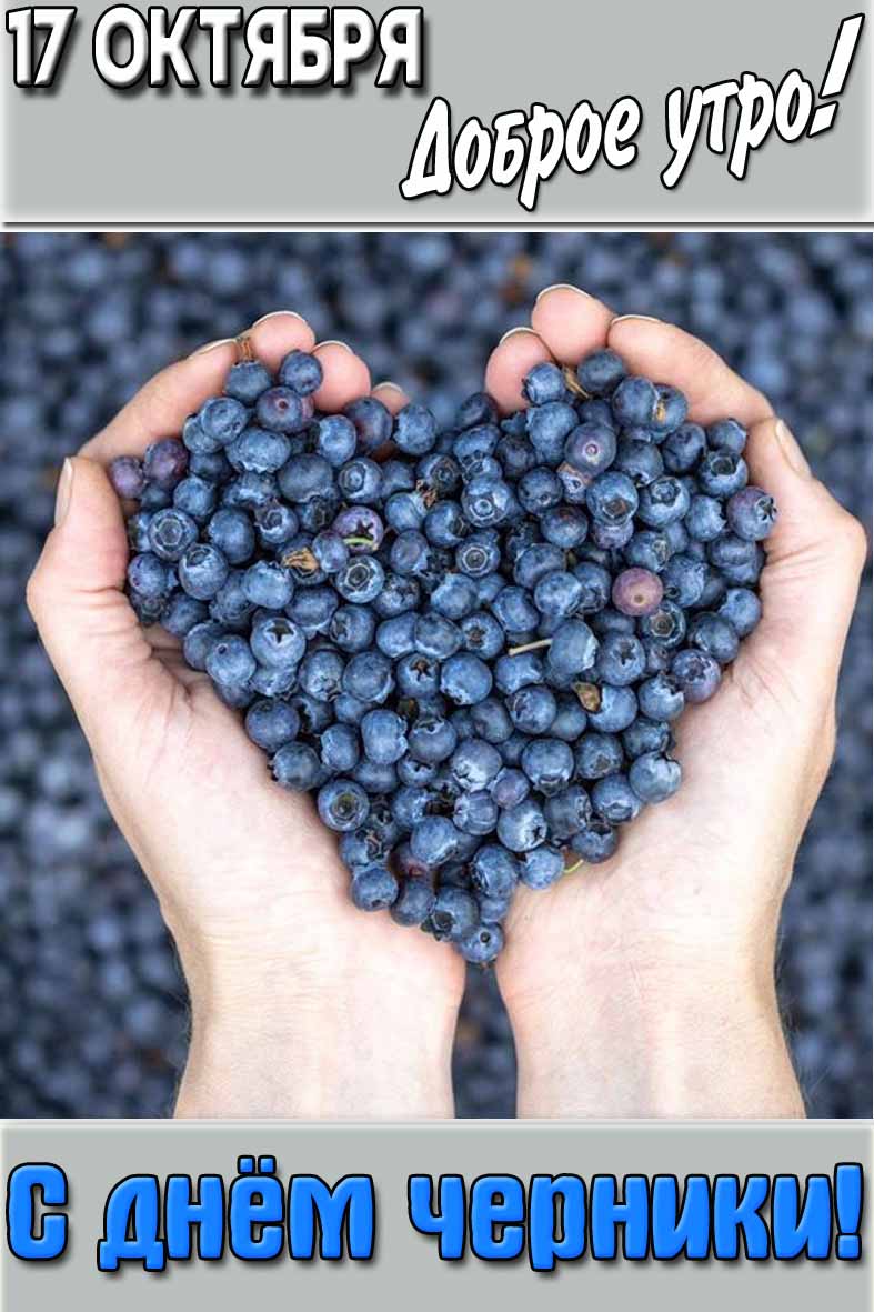 Открытка "17 октября доброе утро! С днём черники!"