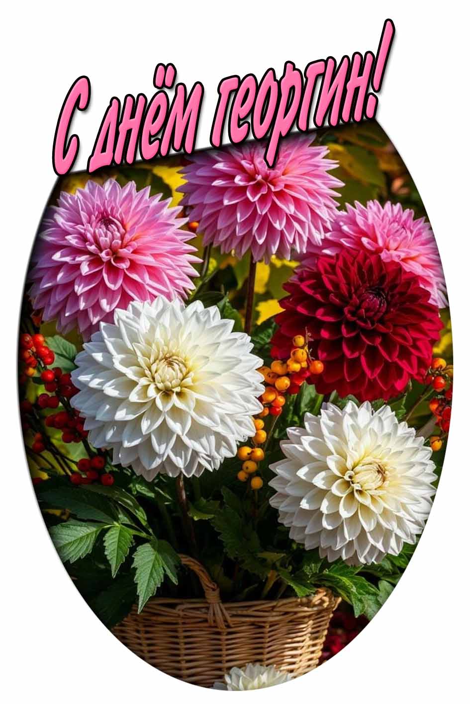 С днём георгин! - открытка