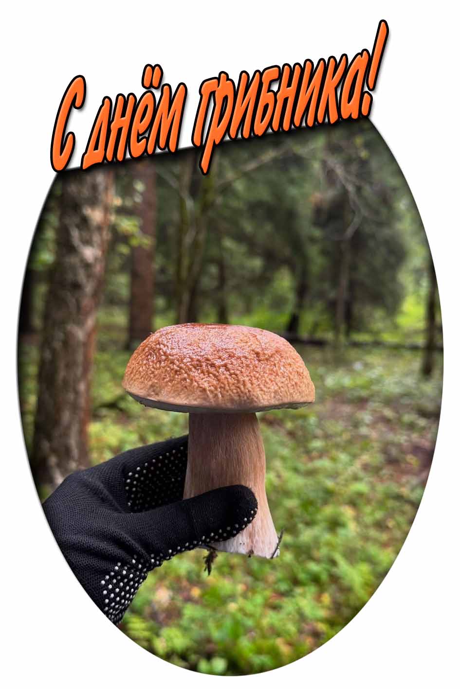 Картинка с днём грибника